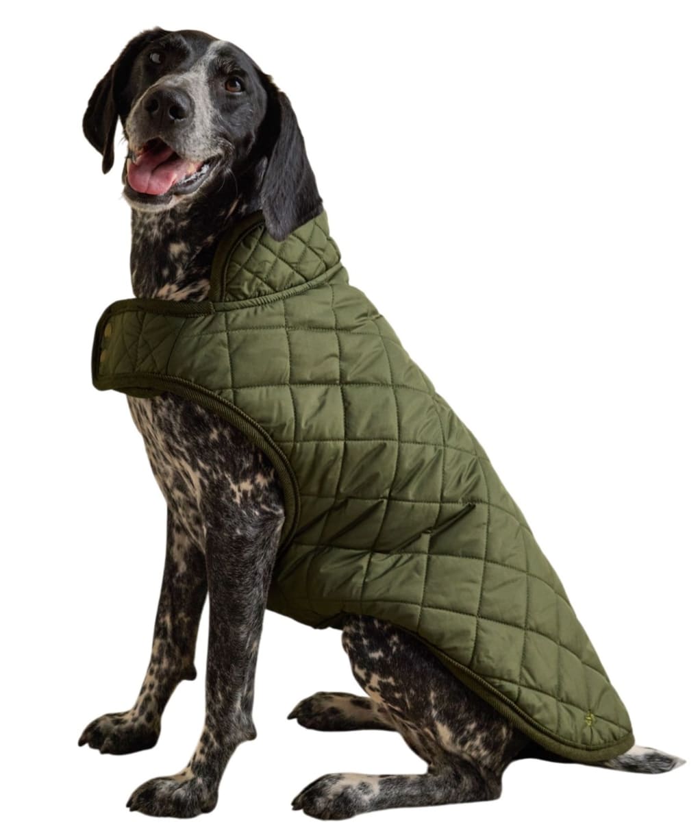  Joules Quilted Dog Coat - Medium - Khaki