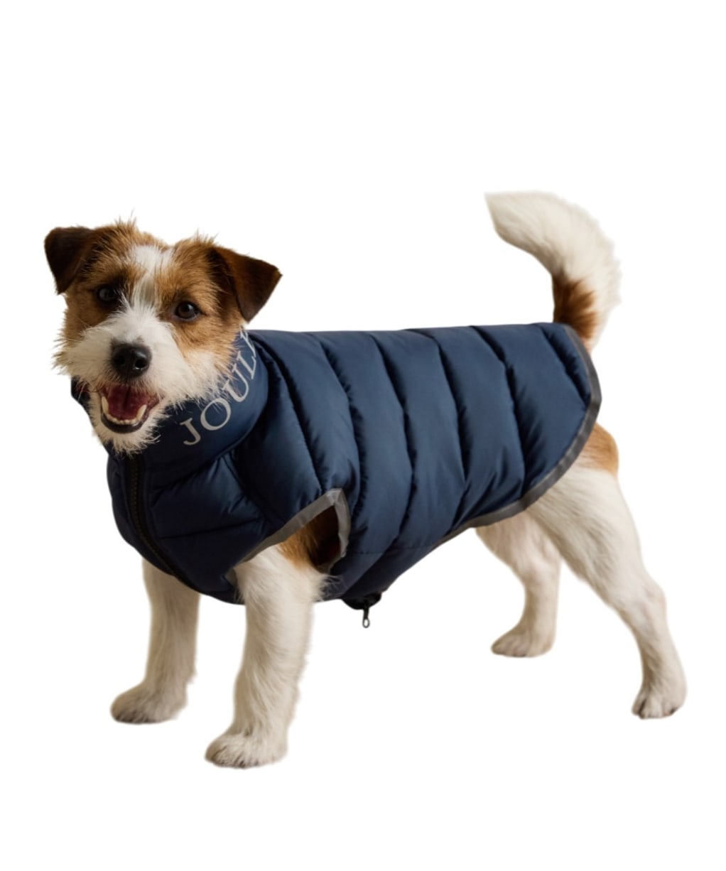 Joules Moorsdale Dog Puffer Coat - Large - Navy