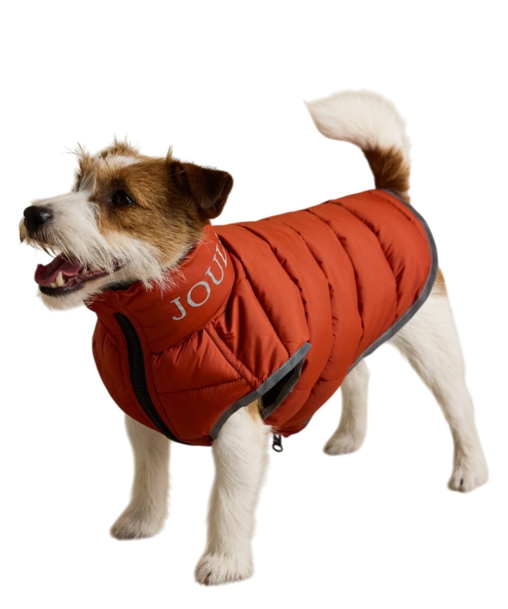 Joules Moorsdale Dog Puffer Coat - Large - Ketchup