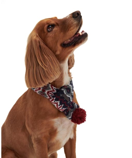 Dog Case Scarf - Blue Granite