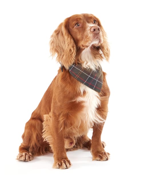 Barbour Tartan Dog Bandana - Classic Tartan