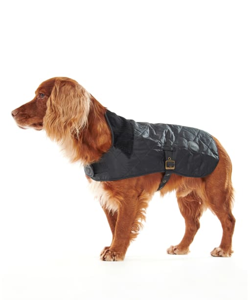 Barbour quilted dog coat olive store
