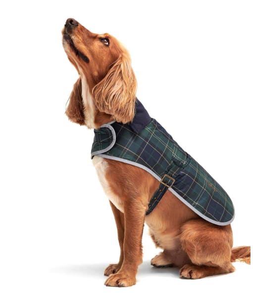 Barbour Wetherham Tartan Dog Coat - Green Loch Tartan