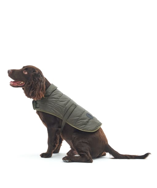 Barbour quilted dog coat olive discount