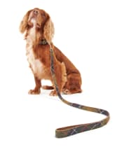 Barbour Tartan Webbing Dog Lead - Barbour Classic