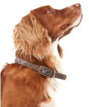 Barbour Tartan Dog Collar - Classic Tartan