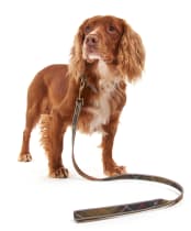 Barbour Reflective Tartan Dog Lead - Classic Tartan