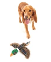 Barbour Pheasant Dog Toy - Classic Tartan