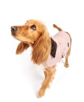 Barbour Quilted Dog Coat - Pink