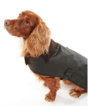 Barbour Shiny Wax Dog Coat - Olive