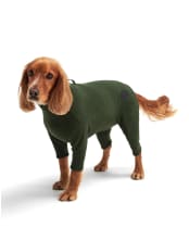 Dog Fleece - Green
