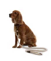 Barbour Cotton Rope Dog Lead - Natural / Classic