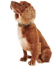 Barbour Leather Dog Collar - Brown