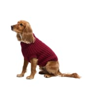 Barbour Saltburn Dog Jumper - Biking Red
