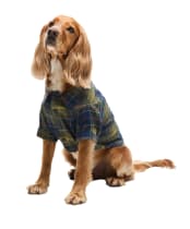 Barbour Tartan Fortrose Dog Shirt - Classic Tartan