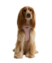 Barbour Evie Dog Harness - Gardenia Pink