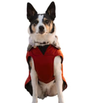 dryrobe® Dog Coat - Burnt Orange