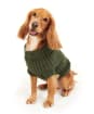 Barbour Saltburn Dog Jumper - Olive