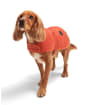 Barbour Baffle Quilted Dog Coat - Ginger