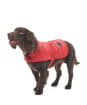 Barbour Baffle Quilted Dog Coat - Wine