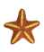 Starfish