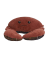 Crab