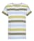 Limeade Stripe