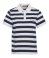 Navy Stripe