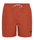 Horizon Orange