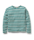 Arctic Stripe