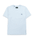 Ice Blue