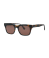 Tortoise / Brown