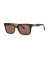 Tortoise / Brown