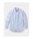 Blue Stripe