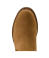 Amber Brown