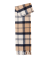 Hessian Navy