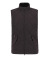 Black Oak / Midnight