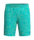 Turquoise Gem