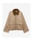 Light Trench