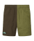 Deep Forest / Fern Green