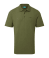 Fern Green