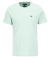 Dusty Mint