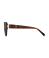Tortoise Shell / Gold