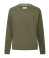 Dark Khaki Green