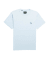 Ice Blue