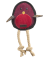 Brown / Red