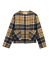 Birchwood Tartan