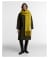 Chartreuse