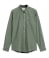 Agave Green