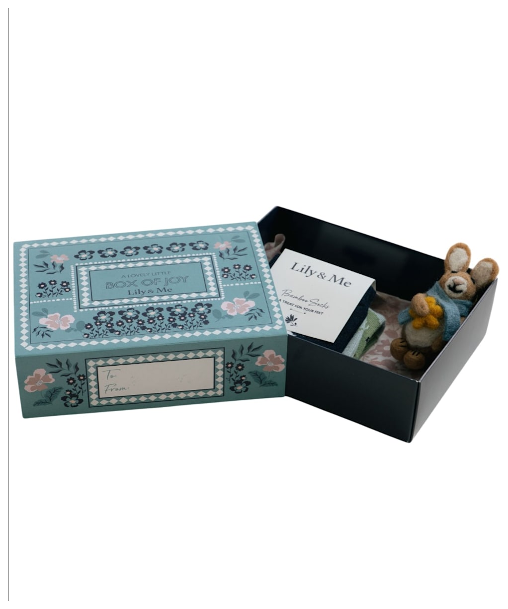 Women's Lily & Me Sock Gift Box - Moonlight